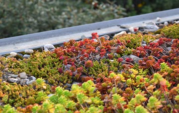 the cost of Pitmaduthy green roof installation