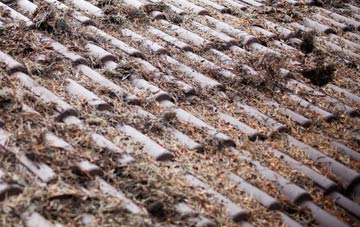 Pitmaduthy roof cleaning companies