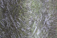 Pitmaduthy fibreglass roof work